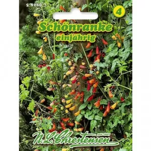 Semințe de eccremocarpus anual