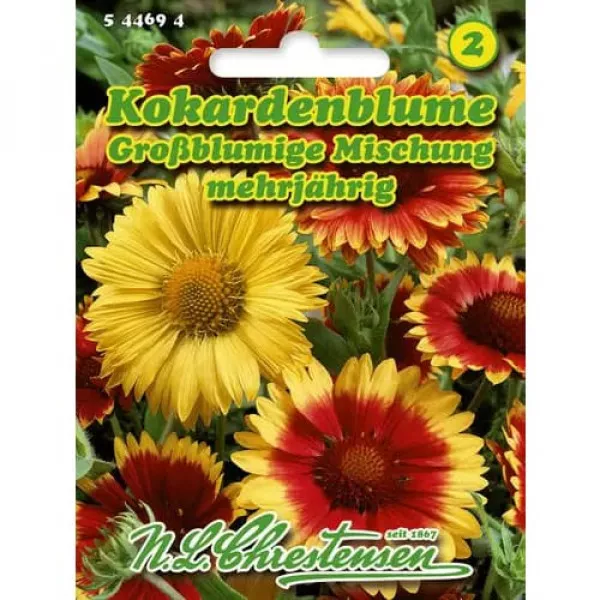 Semințe de roata de foc (Gailardia) cu flori mari, mix multicolor