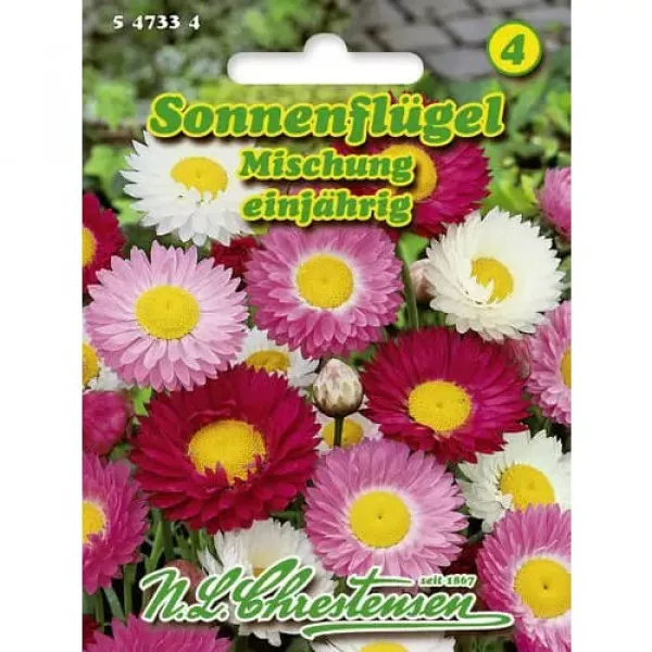 Semințe de flori de paie Sun Wing, mix multicolor
