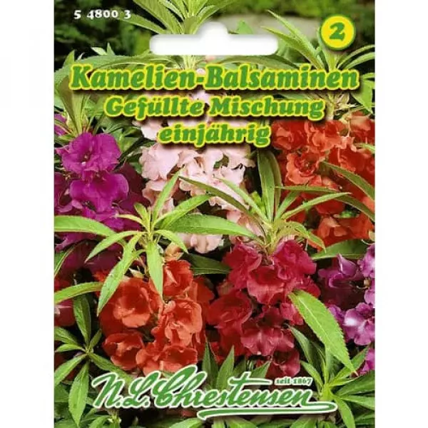 Semințe de balsamină cu flori de camelie, mix multicolor