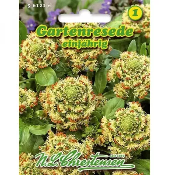 Semințe de reseda odorata