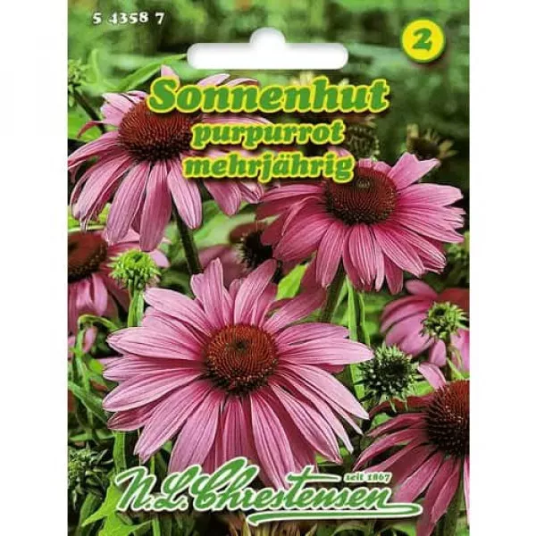 Semințe de rudbeckia (Bulgări de soare) Purpurea