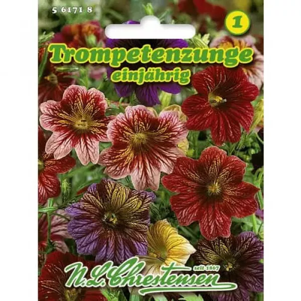 Semințe de salpiglossis sinuata (Trompetuță) Superbissima, mix multicolor