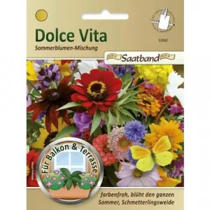 Semințe de flori de vară Dolce Vita, mix multicolor