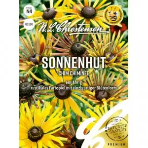 Semințe de rudbeckia (Bulgări de soare) Chim Chiminee