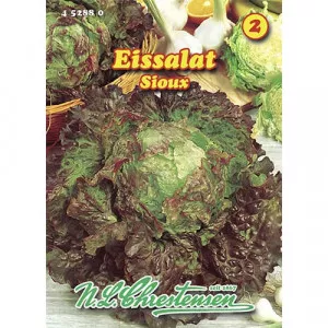 Semințe de salată iceberg Sioux