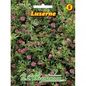 Semințe de lucernă