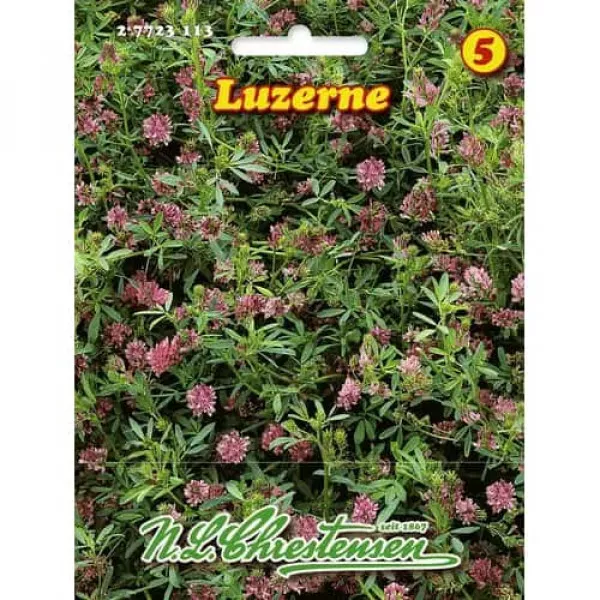Semințe de lucernă Semințe de lucernă