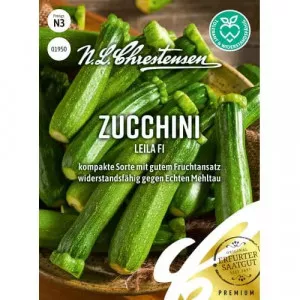 Semințe de dovlecel zucchini Leila F1
