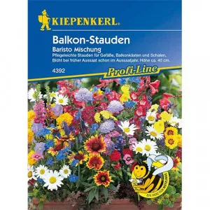 Semințe de flori perene pentru balcon Baristo, mix multicolor