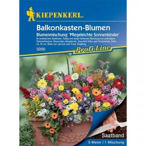 Semințe de flori pentru balcon, semințe pe bandă
