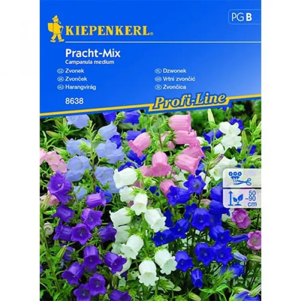 Semințe de clopoțel (Campanula) Splendid, mix multicolor