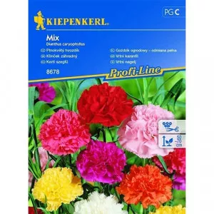 Semințe de garoafă de grădină, mix multicolor