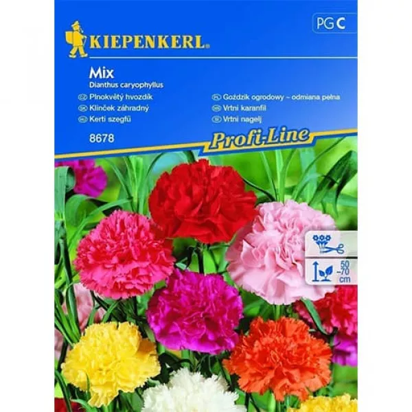 Semințe de garoafă de grădină, mix multicolor