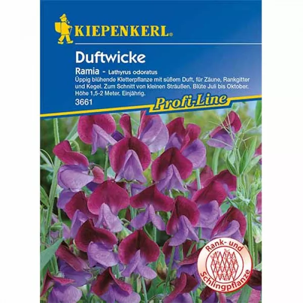 Semințe de lathyrus odoratus (Sângele voinicului) Ramia Semințe de lathyrus odoratus (Sângele voinicului) Ramia