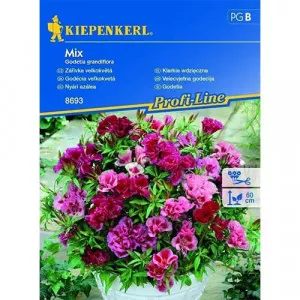 Semințe de godetia, mix multicolor