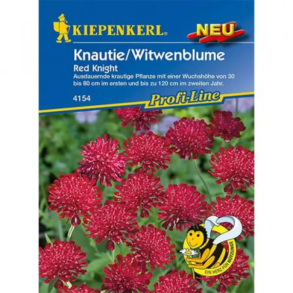Semințe de knautia Red Knight