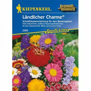 Semințe de flori de câmp Charm