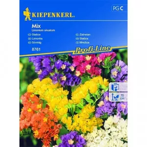 Semințe de limonium sinuatum (Sărăturică) mix multicolor