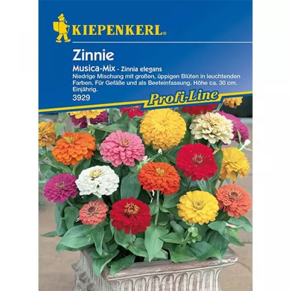 Semințe de zinnia (Cârciumăreasă) Musica