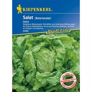 Semințe de salată Leny
