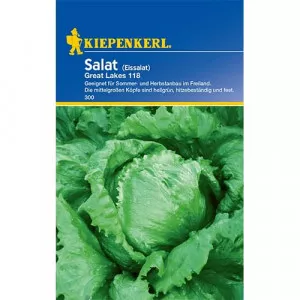 Semințe de salată iceberg Great Lakes 118