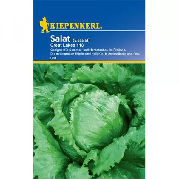Semințe de salată iceberg Great Lakes 118