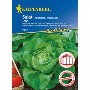 Semințe de salată verde John