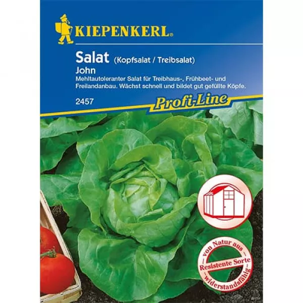 Semințe de salată verde John