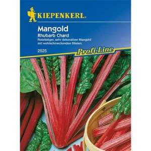 Semințe de sfeclă elvețiană Rhubarb Chard