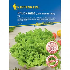Semințe de salată de frunze Vili