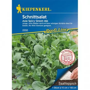 Semințe de salată asiatică Spicy Green mix