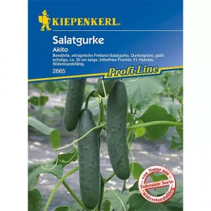 Semințe de castraveți de salată Akito