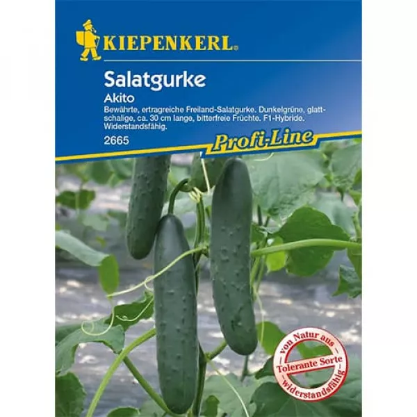 Semințe de castraveți de salată Akito