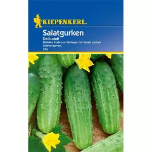Semințe de castraveți de salată Delikatess