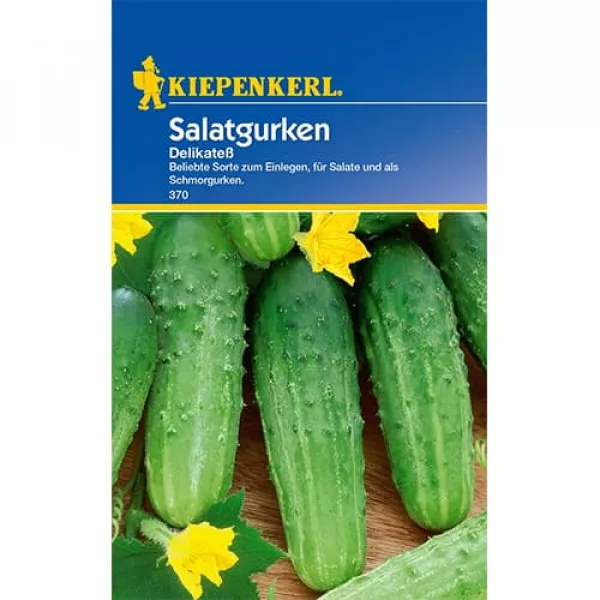 Semințe de castraveți de salată Delikatess