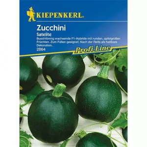 Semințe de dovlecel zucchini Satelite