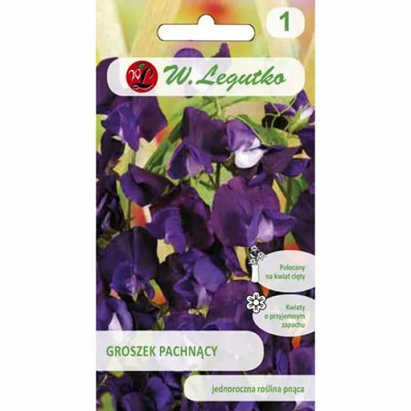 Semințe de Lathyrus odoratus (Sângele voinicului) violet
