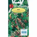Seminte de Mina lobata bicoloră