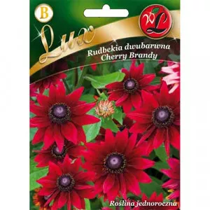 Semințe de rudbeckia (Bulgări de soare) Cherry Brandy