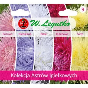 Semințe de colecție de ochiul boului tip cactus, pachet cu 5 soiuri