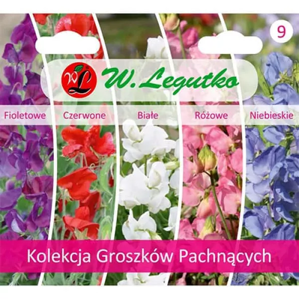 Semințe de colecție de lathyrus odoratus (Sângele voinicului), pachet cu 5 soiuri