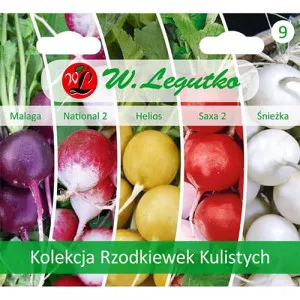 Semințe de colecție de ridichi multicolore, pachet cu 5 soiuri