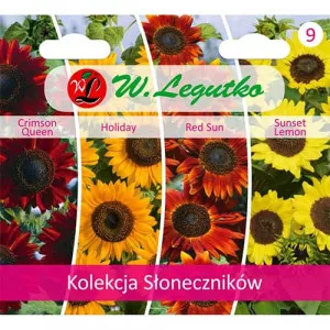 Semințe de colecție de floarea soarelui decorativă, pachet cu 4 soiuri