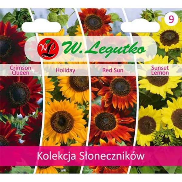 Semințe de colecție de floarea soarelui decorativă, pachet cu 4 soiuri