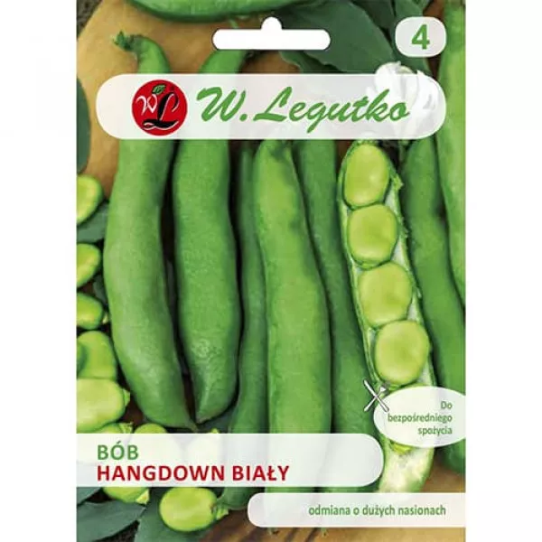 Semințe de fasole albă Hangdown