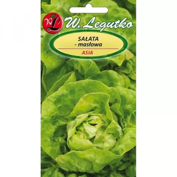 Semințe de salată verde Asia