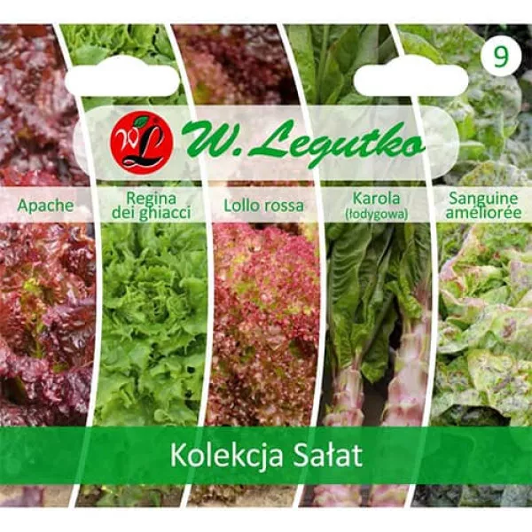 Semințe de colecție de salată verde, pachet cu 5 soiuri