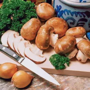 Champignon Brun