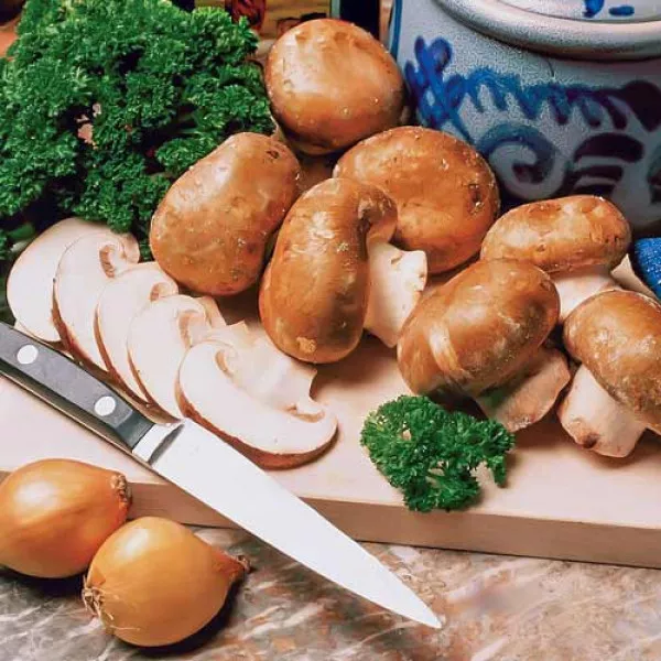 Champignon Brun